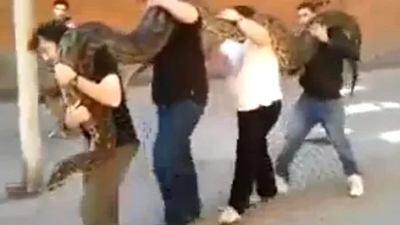 VIDEO: Patru bărbați din Spania au scos la plimbare în parc un piton de cinci metri