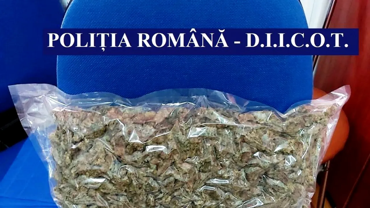 Constănțeni prinși în flagrant când ridicau un colet cu aproape opt kilograme de cannabis 