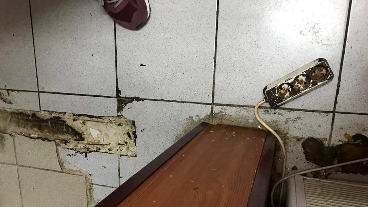 Imaginile dezastrului de pe litoral. Ce au găsit inspectorii sanitari la câteva terase și restaurante. Atenție unde mănânci la mare