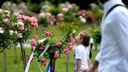 Primăria Sectorului 3 dă aproape 70 de milioane de euro pentru amenajarea spațiilor verzi