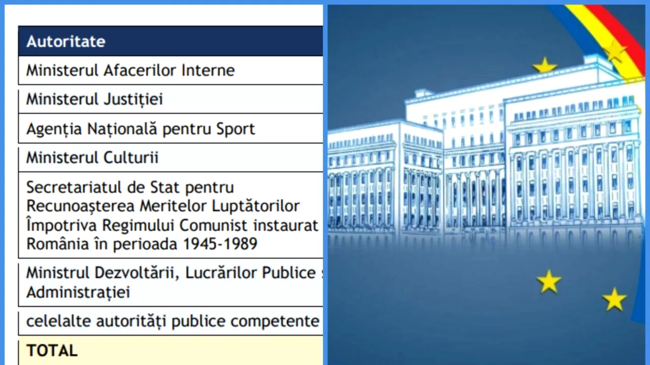 Un raport recent dezvăluie că o mulțime de ONG-uri cunoscute sunt neconforme. Probleme la organizațiile din cadrul Ministerului Afacerilor Interne