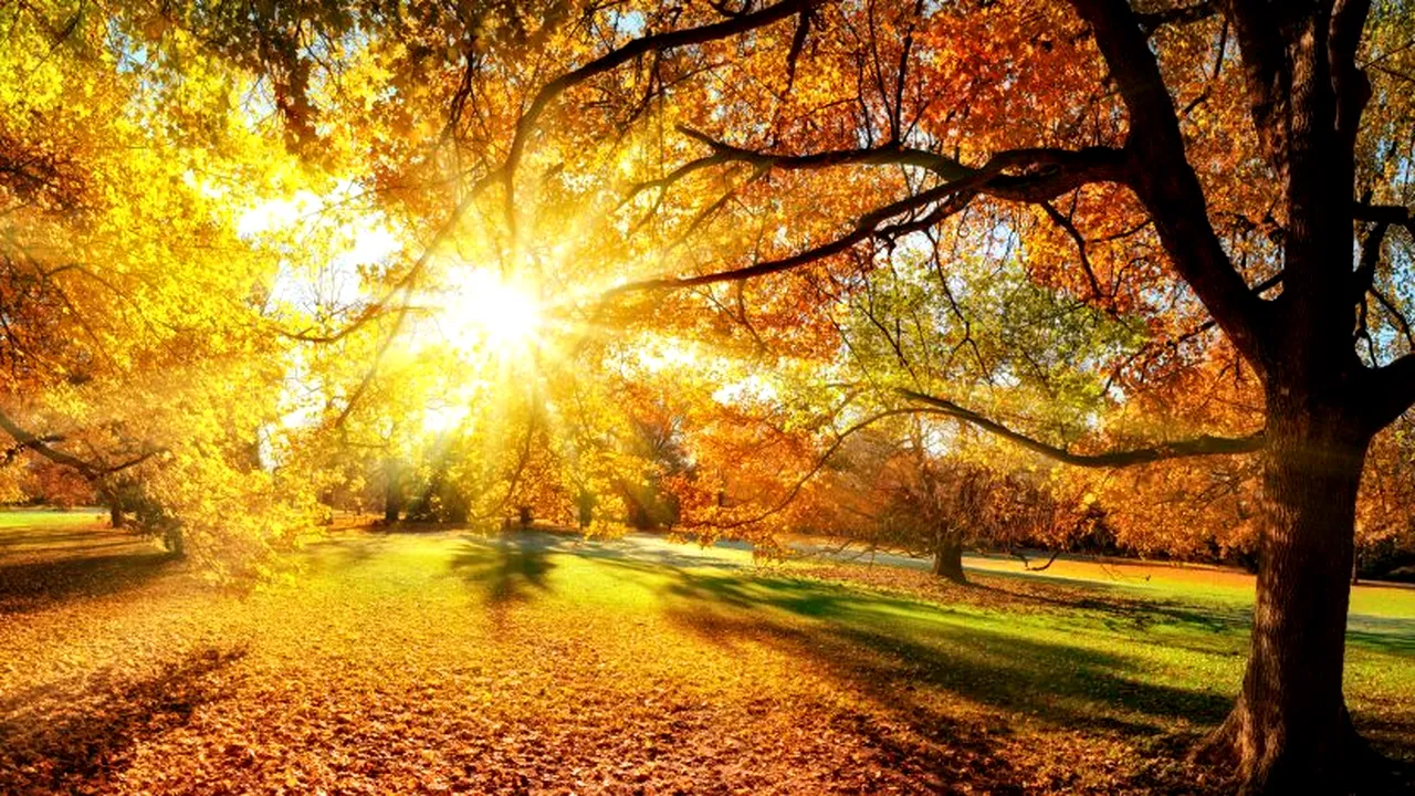 Vara își reintră în drepturi pentru două zile în România. ANM a emis și un cod portocaliu de instabilitate și ploi abundente. Care sunt zonele vizate