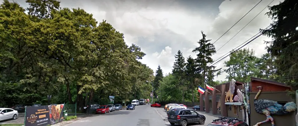 Drumul din Pădurea Băneasa care ajunge la un cartier rezidențial va fi închis parțial. Decizia Romsilva, de la 1 iunie