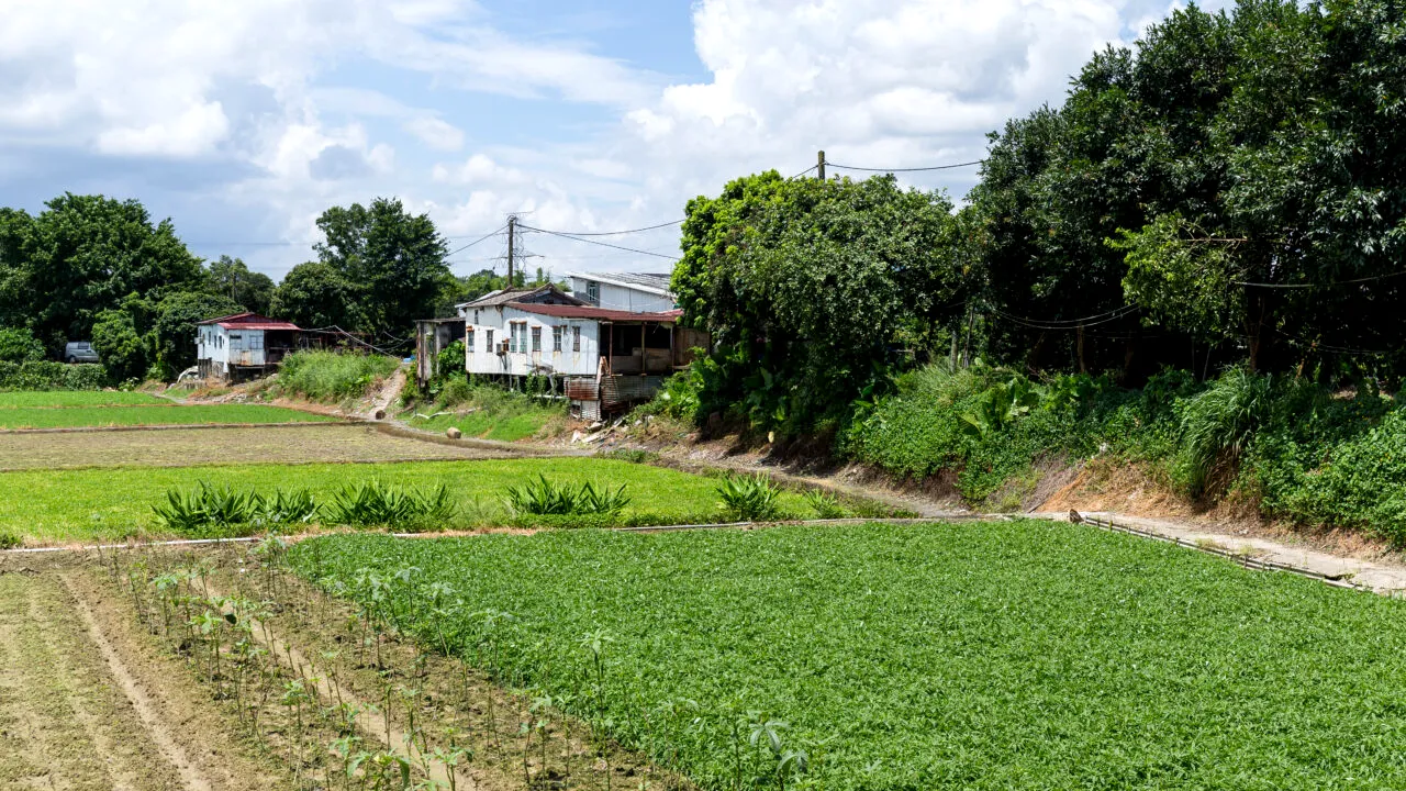 Românii care trebuie să depună cerere pentru proprietate. Cine poate obține terenuri aferente locuinței