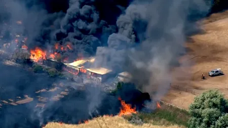 Autoritățile britanice au declarat „incident major” în Londra, în cea mai călduroasă zi din istoria Regatului. Pompierii se luptă cu zece incendii în capitală