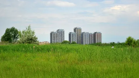 Amenzi de până la 5.000 de lei pentru bucureștenii care nu își plantează iarbă pe terenuri