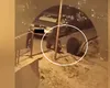 Patru urși TERORIZEAZĂ un cartier din Predeal, seară de seară, când coboară după mâncare. Localnicii sunt disperați și spun că e un risc uriaș