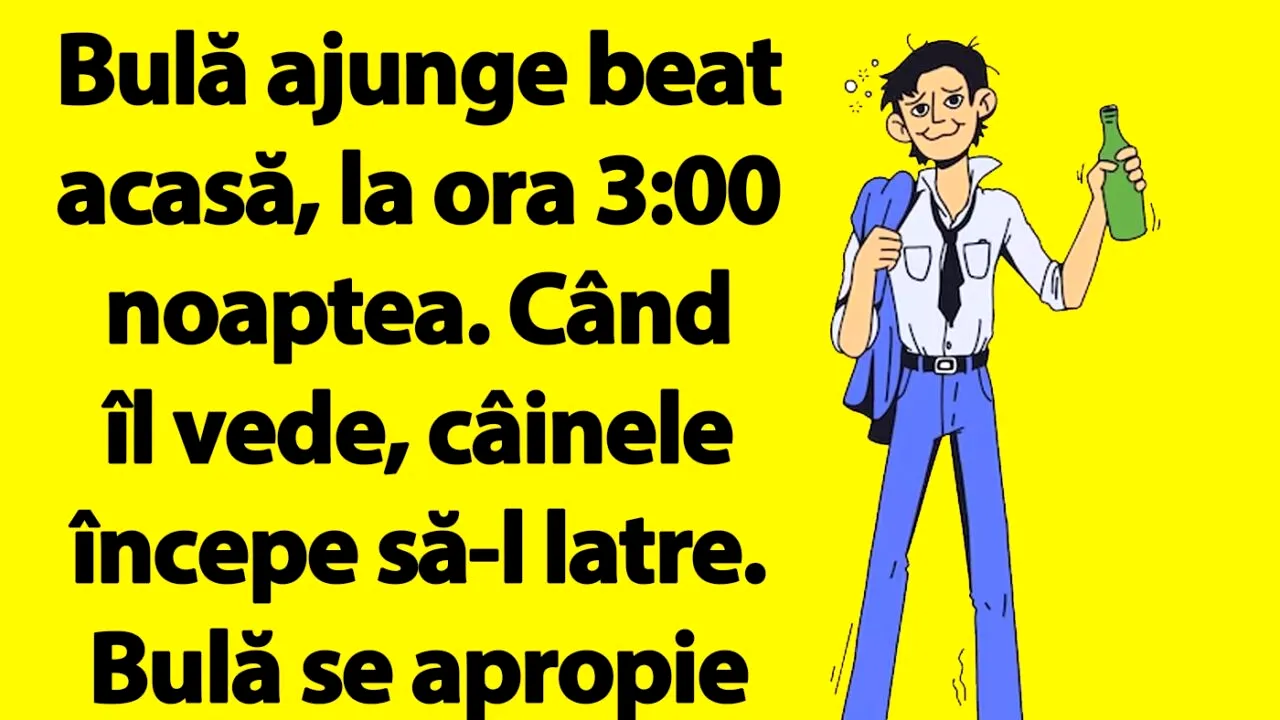 BANC | Bulă ajunge beat acasă, la ora 3:00 noaptea