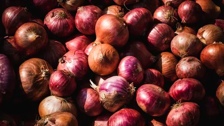 Un român stabilit în Austria a cumpărat 520 de tone de ceapă și cartofi fără a plăti