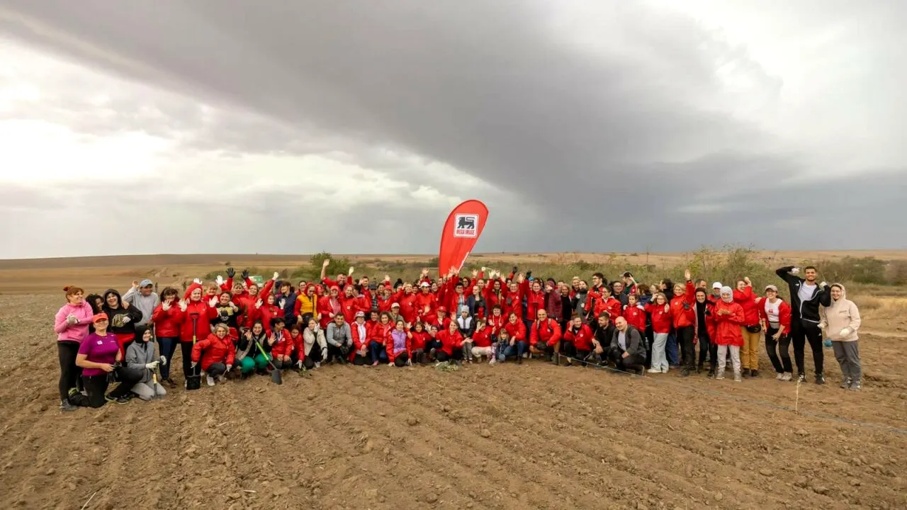 Mega Image plantează o pădure nouă, de 12.000 de copaci, unul pentru fiecare angajat
