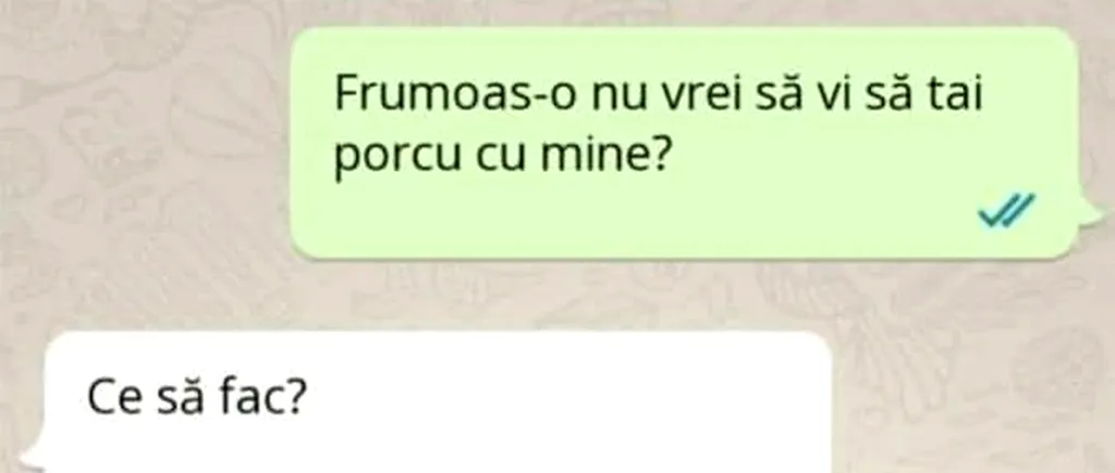 Bancul de vineri | Frumoas-o nu vrei să vi să tai porcu cu mine?