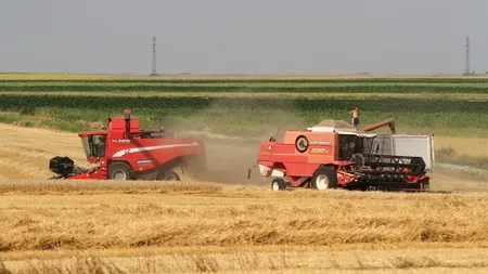 Mediafax Talks about Sustainable Agriculture. Străinii administrează 800.000 ha de teren agricol, reprezentând 6% din suprafața agricolă a țării