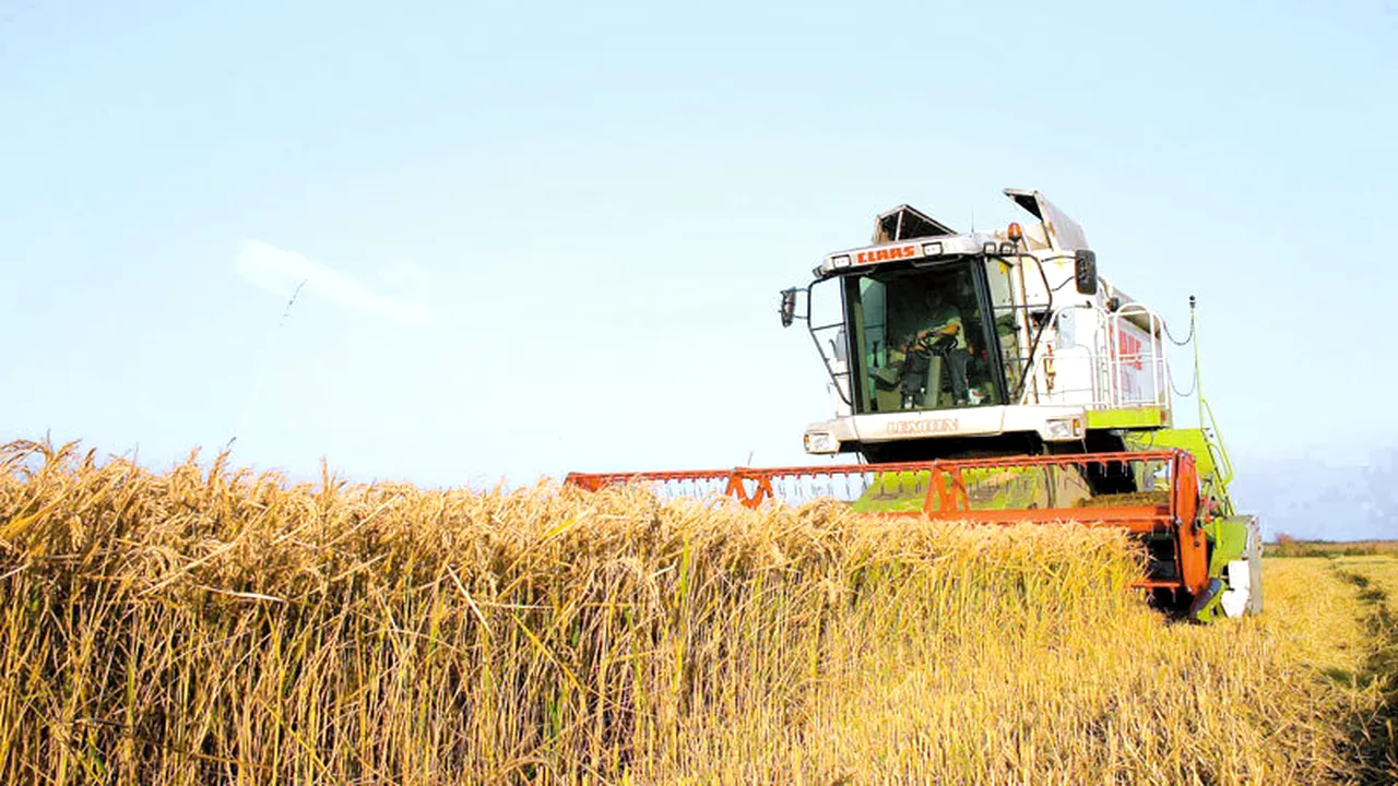 Băsescu: Anul agricol 2011 a fost excepțional; recolta din 2012 indică potențialul României