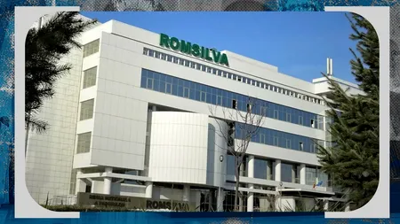 Noi contracte de mandat pentru membrii CA al ROMSILVA. Indemnizații reduse cu mai mult de 50%