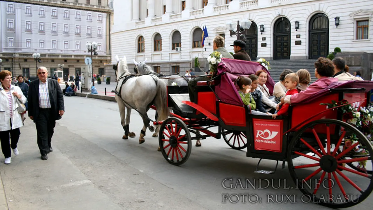 Bucureștiul ar putea fi Capitală Culturală Europeană