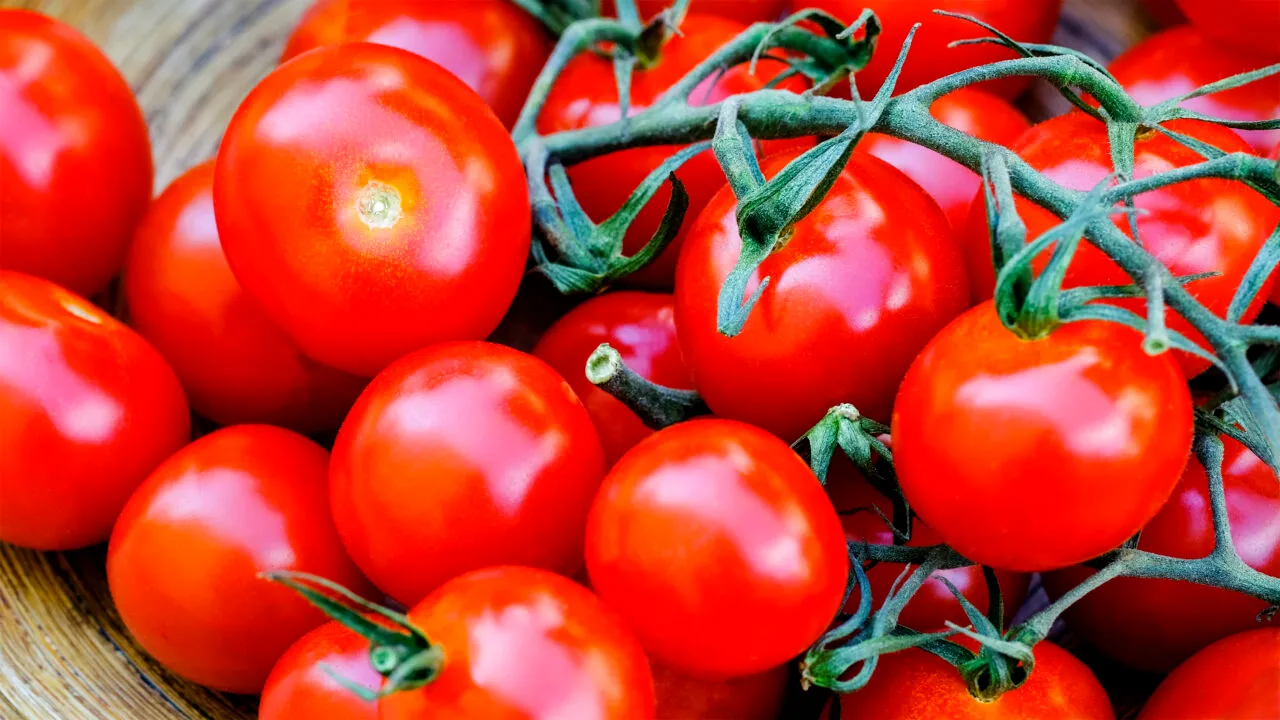 Cu cât se vinde un kilogram de roșii oltenești în piață