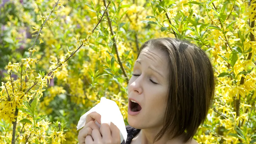 Tot ce trebuie să știi despre alergia la AMBROZIE
