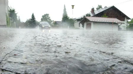 Alertă în Buzău, unde acoperișul unei ferme a căzut peste 150 de oi, din cauza vântului puternic