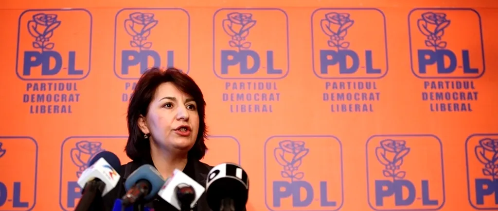 PDL a atacat legea uninominalului pur la Curtea Constituțională