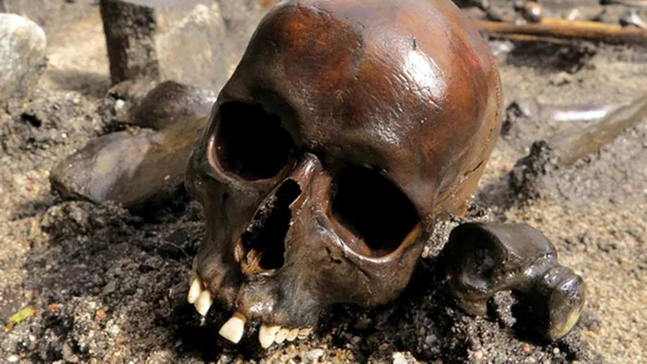 Oase din Epoca Fierului, găsite în Danemarca, dezvăluie un ritual bizar