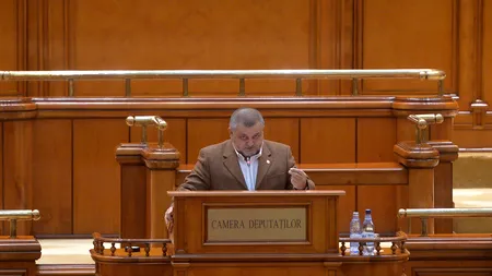 Replici ca la ușa cortului în Parlament. Bichineț, către Andreea Cosma: „Portocală a paradit-o sau nu a paradit-o