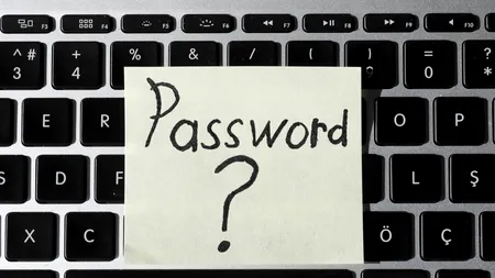 De la DONALD până la PRINCESS. Care este cea mai folosită PAROLĂ pe internet
