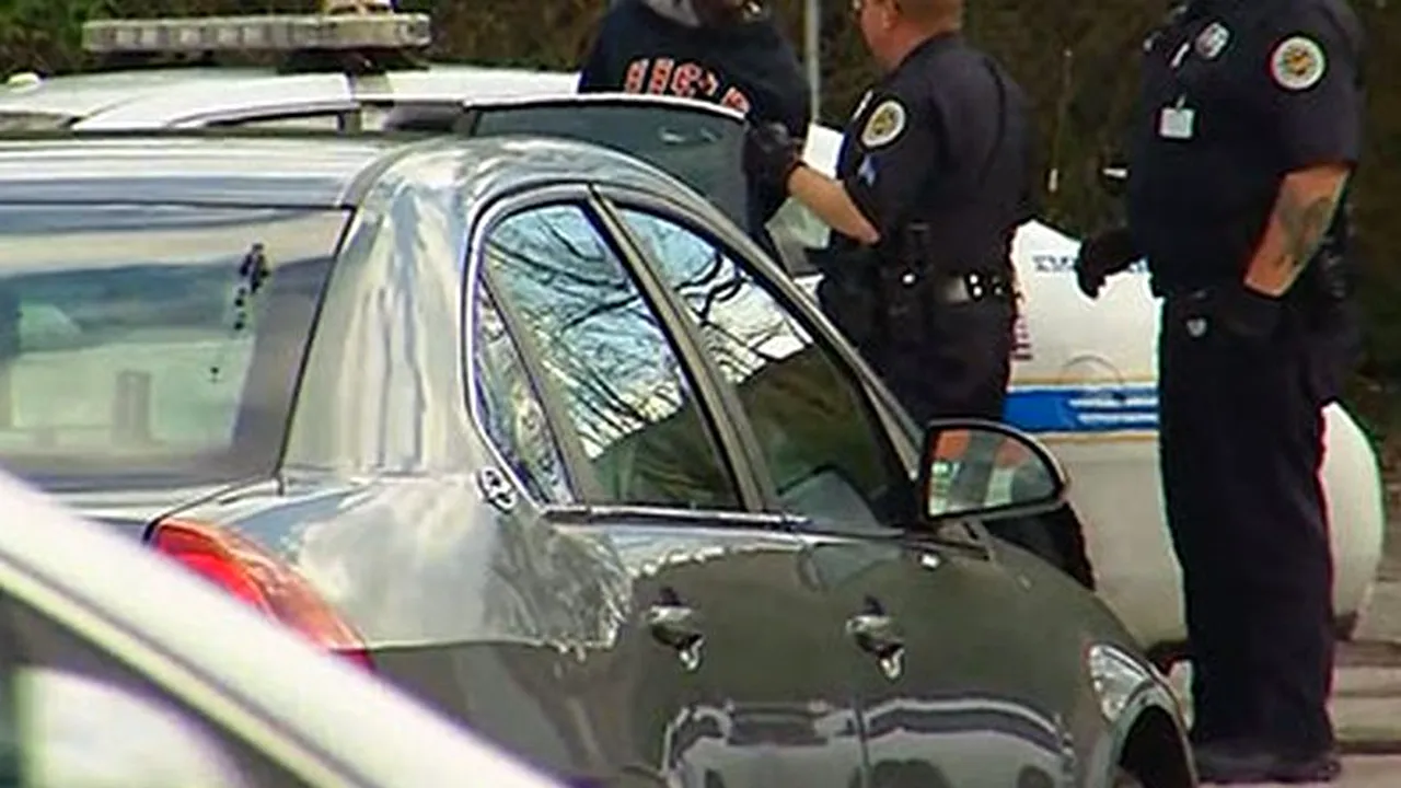 Un român a pledat vinovat în SUA pentru fraude informatice de 850.000 $