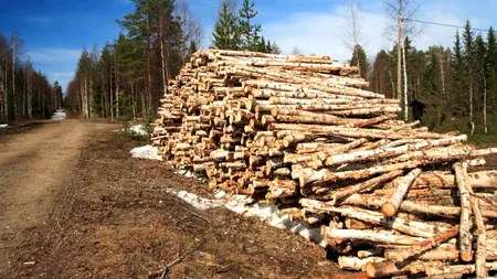 TOP 5 ȘTIRI. Cele mai importante ȘTIRI ale zilei de luni, 29 aprilie, pe GÂNDUL.INFO