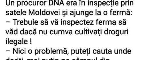 BANCUL ZILEI | Un procuror DNA era în inspecție prin satele Moldovei