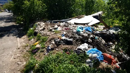 Primăria Sectorului 2, AMENDATĂ de Garda de Mediu București cu 50.000 de lei / Munți de gunoaie inclusiv în zona de lux a Capitalei, Pipera