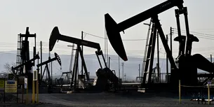 Grupul OPEC+ a stabilit să reducă din nou producția de petrol, în contextul scăderii prețurilor
