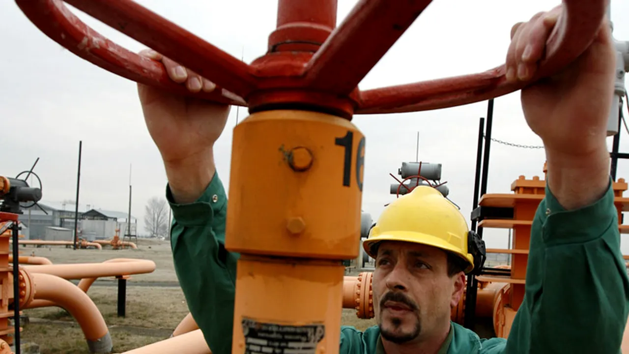 Ce s-a întâmplat cu profitul net al Transgaz în primul semestru