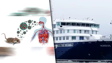 Medicii încearcă să evacueze doi pasageri de pe vasul din Cabo Verde după ce un german și doi olandezi au murit de la infecția cu hantavirus