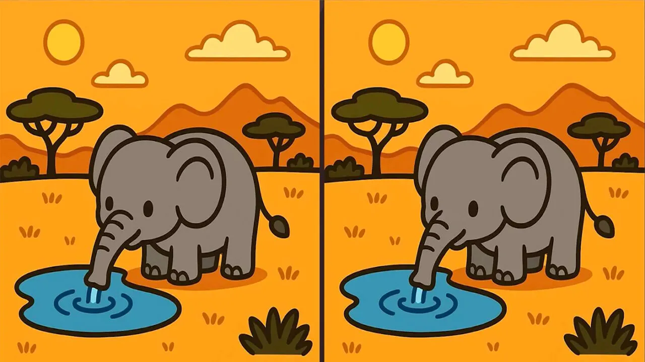 Test de perspicacitate | Identificați toate cele 3 diferențe dintre cei doi elefanți din imagine!