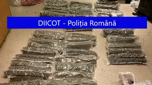 Droguri aduse din Spania în România, prin intermediul unor firme de curierat. Au fost reținuți patru suspecți (FOTO-VIDEO)