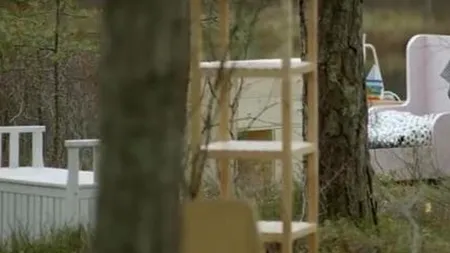 IKEA a devenit cel mai mare proprietar de pădure din România. Care sunt planurile retailer-ului de mobilă