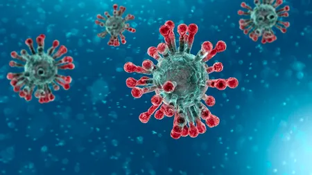 Consilierul științific al Guvernului francez: Apariția noilor tulpini SARS-CoV-2 echivalează cu o nouă pandemie