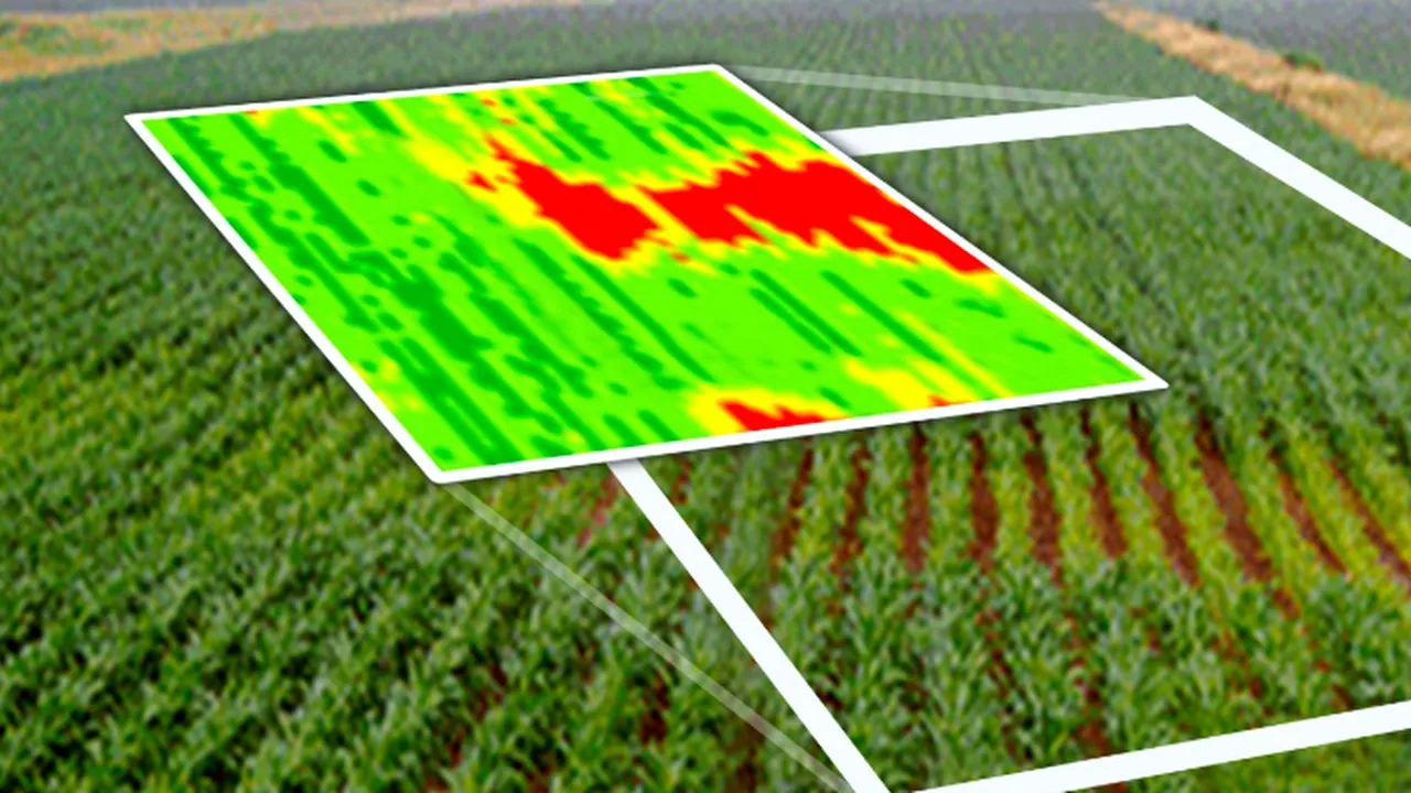 Fermierii din Europa, SUA și America de Sud, cu „ochii