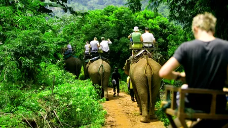 TripAdvisor nu mai vinde bilete pentru zonele în care animalele sunt chinuite