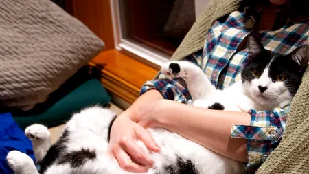 10 lucruri care te vor convinge să îți iei un animal de companie