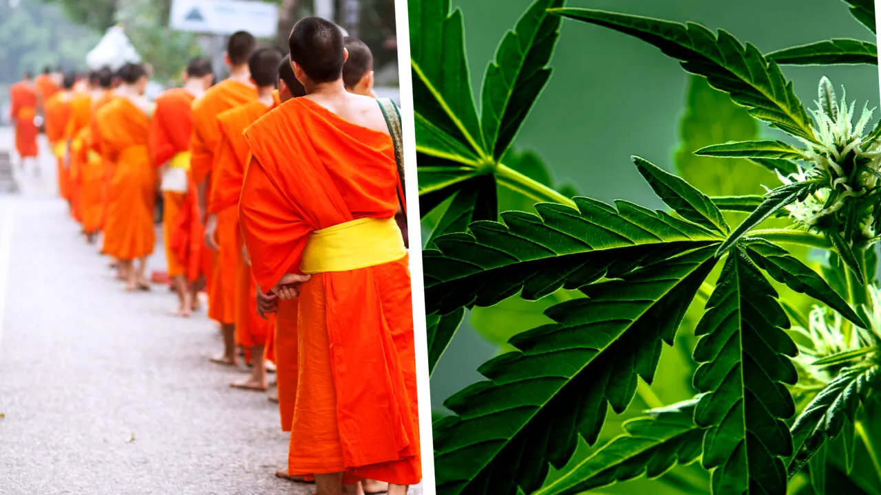 22 de călugări budiști au fost arestați pe un aeroport din Sri Lanka după ce au fost prinși cu 110 kg de canabis în bagaje