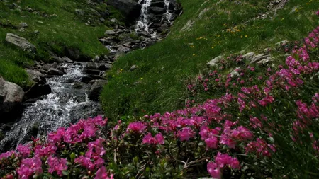 Zona SUPERBĂ și foarte populară din România unde NU ai voie să filmezi sau să faci poze! Puțini știu