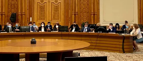 Simona-Maya Teodoroiu, fost judecător CCR: ”Depolitizare nu înseamnă semi-politizare. Audierile în Comisia Juridică au fost o simplă mascaradă!”