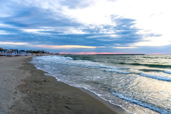 Noi pești exotici în Marea Neagră, după transformările hidrografice ale Dunării. Cocoșelul de mare, printre speciile identificate