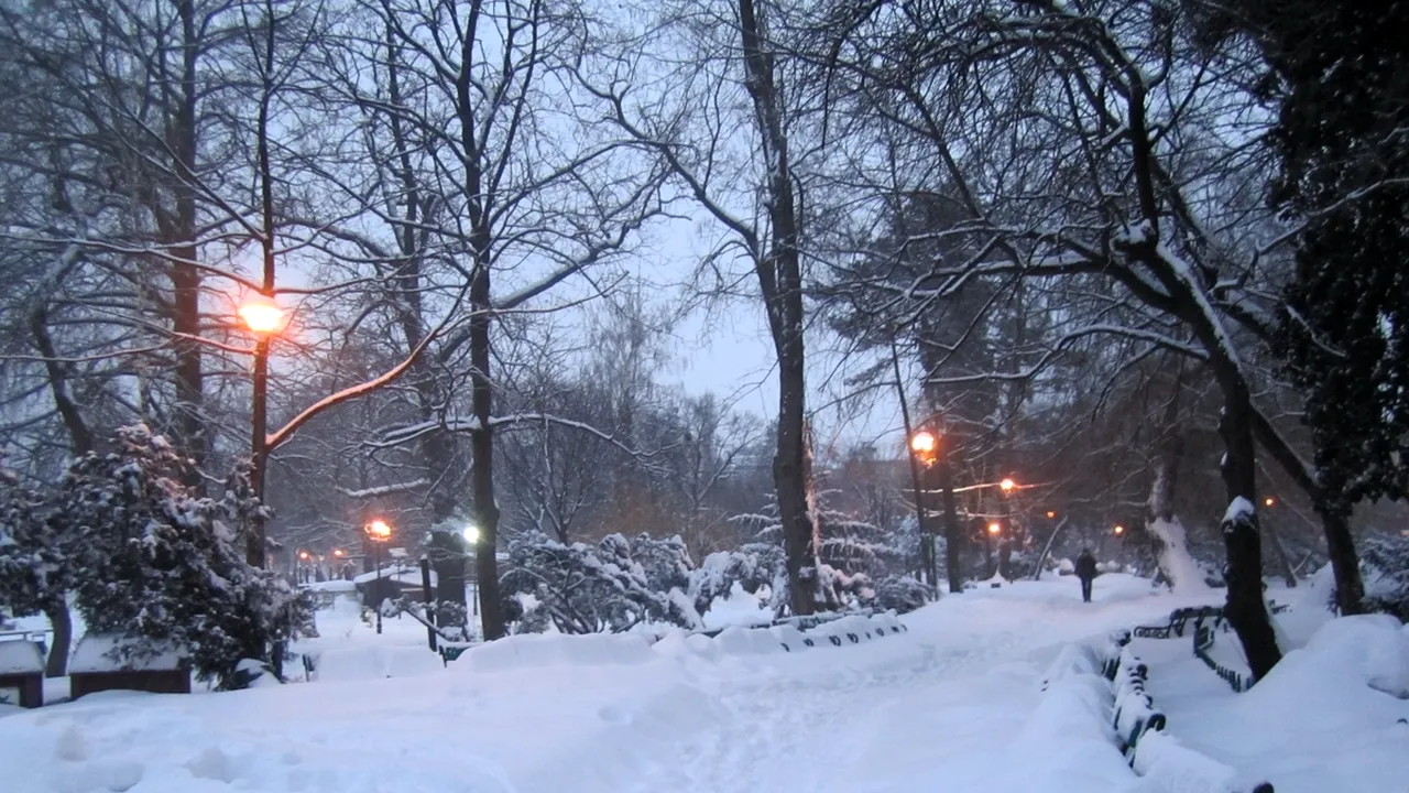 ANM anunță cât va mai ninge în București. Se va depune strat consistent de zăpadă/Situația pe Aeroportul „Henri Coandă”