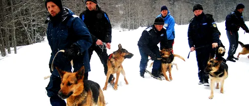 Acțiune a jandarmilor pentru a ajuta să coboare de pe platoul Padina 80 de turiști blocați în zăpadă