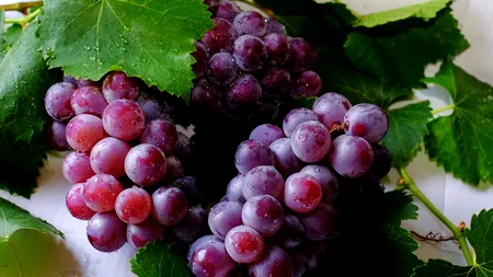 Ce se întâmplă cu organismul tău dacă mănânci struguri în fiecare zi