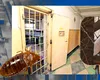 Adevăratul motiv pentru care STEGARUL dac a stat 18 ore în copacul din curtea pușcăriei. Cezar Avrămuță era chinuit de mușcăturile de ploșniță