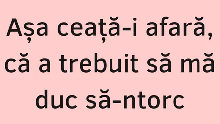 BANCUL ZILEI | Ceața și câinele