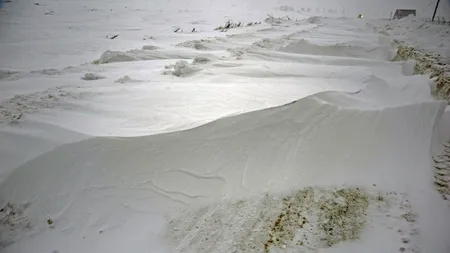 DRUMURI BLOCATE. Un camion cu deținuți, 2 automotoare și un autobuz cu pasageri, blocate în țară din cauza viscolului